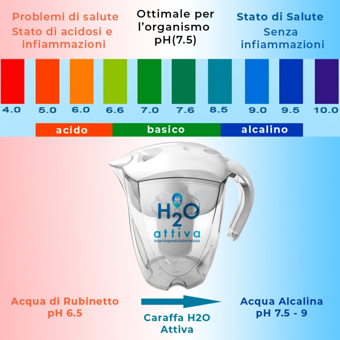 H2O Attiva Caraffa Filtrante - Acqua Idrogenata, Alcalina, Ionizzata e Micro-strutturata - 1 Filtro Incluso - Capacità 3,5 Litri