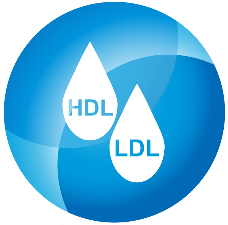 hdl ldl.jpg